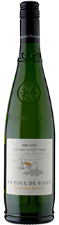 Benjamin Darnault Picpoul de Pinet 2016