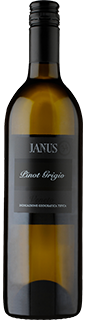 Sacchetto Janus Pinot Grigio Veneto 2015