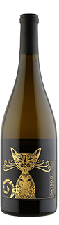 Sharon Weeks Cattoo Central Coast Catatonic White 2019